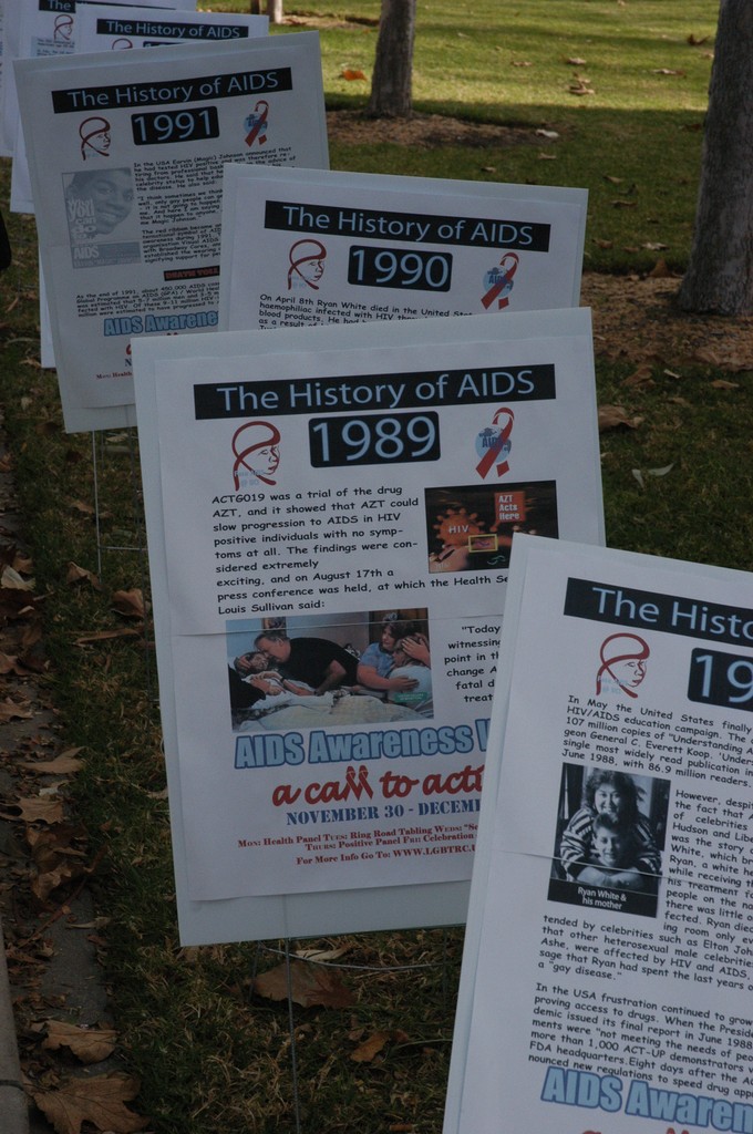 Close-up of AIDS awareness walk signage on the Ring Mall; photograph at ...