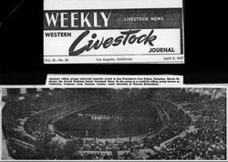 Clipping from the April 8, 1947 Weekly livestock news featuring the California Centaurs mounted junior drill team in the Grand National Junior Livestock Show at the Cow Palace, San Francisco, California, on March 30, 1947