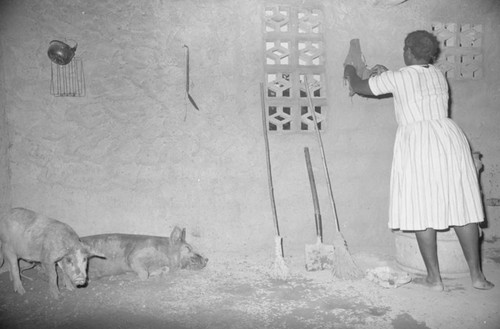 A woman and two pigs stand inside a stable, San Basilio de Palenque, 1976