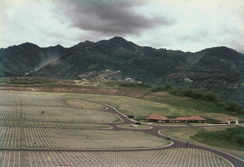 A plantation on one of the islands of Hawaii. This photo was taken by a member of the scientific party while taking a break during the Midpac Expedition (1950). 1950