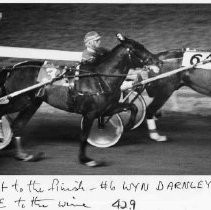 In a fight to the finish, #6 Wyn Darnley beat #3 Oleo's Duke to win the race at Cal Expo's Harness Racing venue