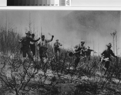 Volunteer firefighters racing to escape the advancing fire on Mount Tamalpais during the 1913 fire