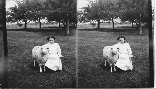 "Mary had her little lamb", Ottawa, Canada