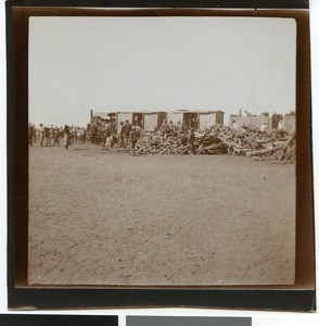 Wood next to a steam tractor at the camp near Mafikeng, South Africa, ca.1901-1903