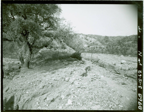 View of a wash before construction of Marshall Canyon Golf Course