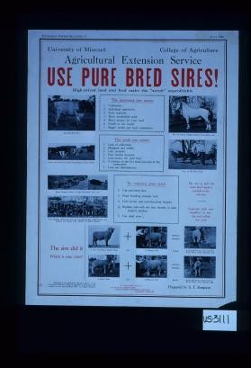 Use pure bred sires! High-priced land and feed make the "scrub" unprofitable. The pure-bred sire means ... The scrub sire means ... To improve your stock ... The sire did it. Which is your plan?