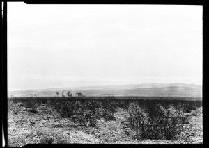 Death Valley looking south from Hell's Gate, showing a large field of vegetation in the foreground, January 1928
