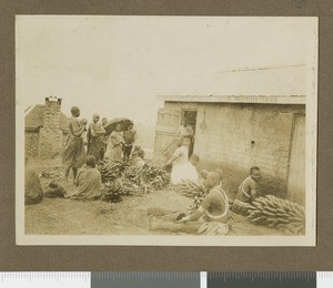 Crop harvest, Chogoria, Kenya, ca.1930