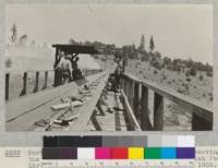 Portions of 1926 class at Camp Califorest observing the refuse on the slab conveyor of the Spanish Peak Lumber Company near Camp Califorest. July, 1926