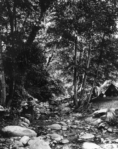 Camping at Switzer's Camp