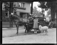 Little girl with lamb standing in front of a horse and cart before the Tournament of Roses Parade, Pasadena, 1928