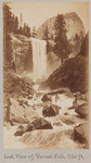 Inst. view of Vernal Fall, 350 ft., #348