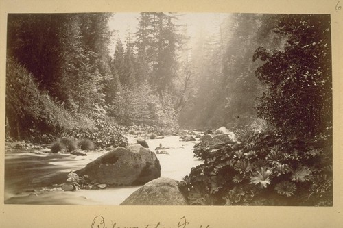 Below the Falls. 1882