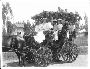 Group of women in flower-bedecked coach at Los Angeles Fiesta, ca.1901