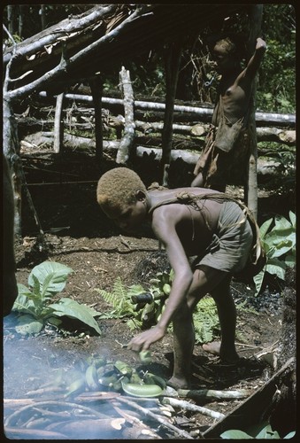 Boy working on fire, getting ready to roast plaintains