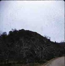 Slides of California Historical Sites. Road from Soledad to Carmel Valley, Calif