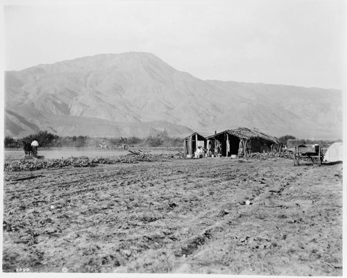 Colorado Desert Indians cultivating the land alloted them by the government near Indio, California
