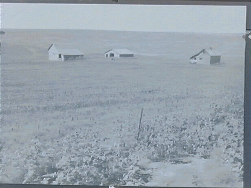 South Dakota Rural Landscape