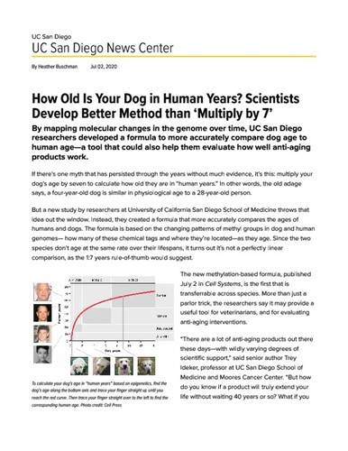How Old Is Your Dog in Human Years? Scientists Develop Better Method than ‘Multiply by 7’