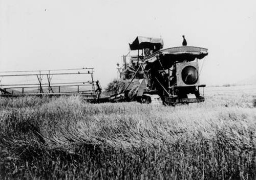 Wheat thresher, E. B. Ranch, Owensmouth, 1914