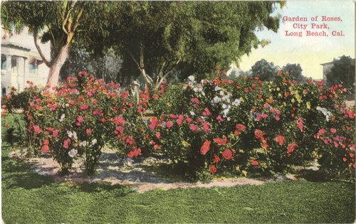 Garden of Roses, City Park, Long Beach, Cal