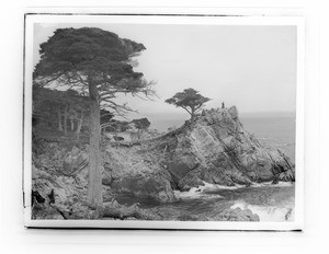 Woman standing on Cypress Point along 17 Mile Drive in Monterey, ca.1908