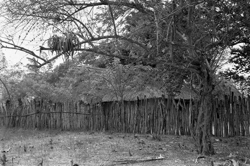 House surrounded by a fence, San Basilio de Palenque, 1977