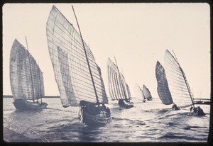 Fleet of grain junks sailing before a fair wind, Hunan, China, ca.1900-1919