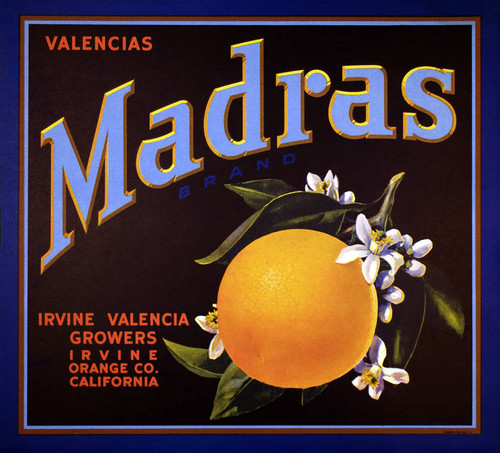Madras Valencias, Irvine Valencia Growers fruit crate label, ca. 1930
