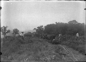 Transporting stones, Shilouvane, South Africa, ca. 1901-1907