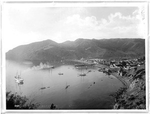 Panoramic view of Avalon Harbor from the north, showing few boats in harbor, Santa Catalina Island, ca.1910