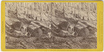 Jack-screwing logs into the river, Mendocino Co., No. 1100