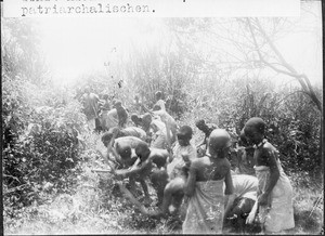 Children clearing a road, Tanzania, ca. 1900-1914