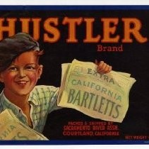 Hustler Brand