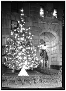 Illuminated Christmas tree in front of the Petroleum Securities Building, December 26, 1928