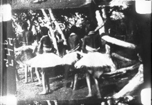 Initiation ceremony, Shilouvane, South Africa, ca. 1930