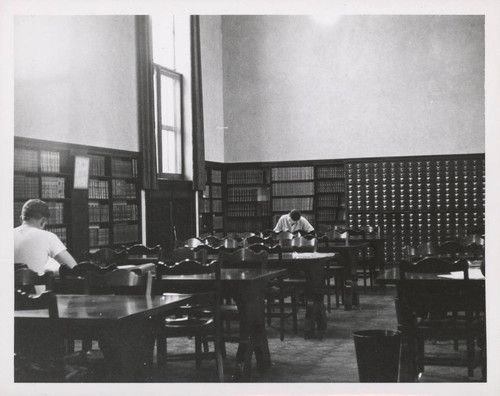 Student in Varsi Library