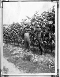 F. J. Riddell and a worker named Blackie stand beside a planted field or orchard