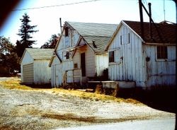 Barns in Petaluma, California 1978