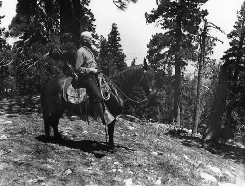 Horseback at Big Pines