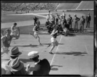 USC and Stanford runners approach the finish line at the Coliseum, Los Angeles, 1932