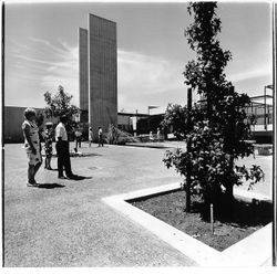 Courtyard of City Hall, Santa Rosa, California, 1969