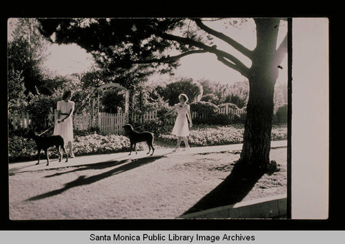 Carolyn Bartlett (left) walking dogs with a friend on Fourteenth Street in Santa Monica
