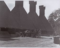 Loading the hops into the kilns on Wohler Road, Healdsburg, California, in the 1920s