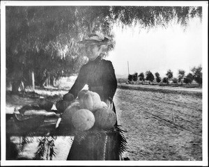 A woman selling pumpkins on Sunset Boulevard just west of Western Avenue looking north, ca.1896