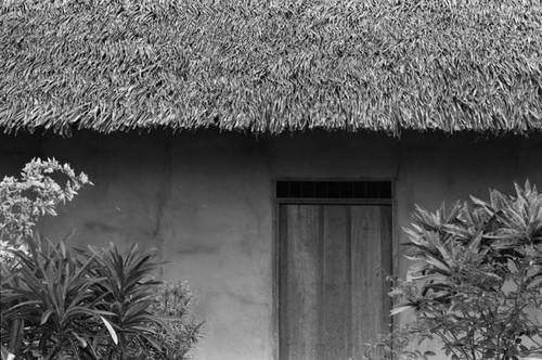 Vegetation and a house, La Chamba, Colombia, 1975