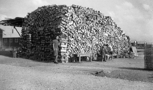 Woodpiles in Jerome camp