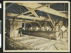 Workers in the Oregon Lumber Company, ca.1900