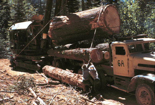 Huge log being loaded--Soper-Wheeler Company