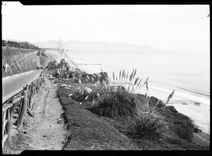View of roads on the cliffs in Santa Monica's Palisades Park, showing the beach in the distance, 1910-1920